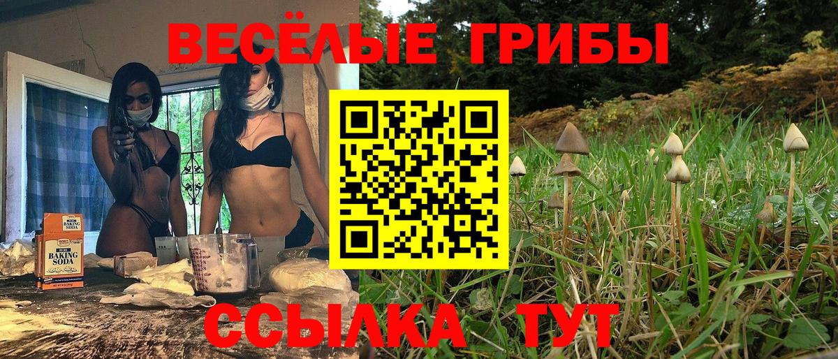 Псилоцибиновые грибы мухоморы  Вход с VPN  Галлюциногенные грибы мухоморы  Костомукша 