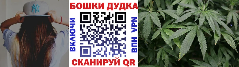 наркота  Костомукша  Марихуана планчик 